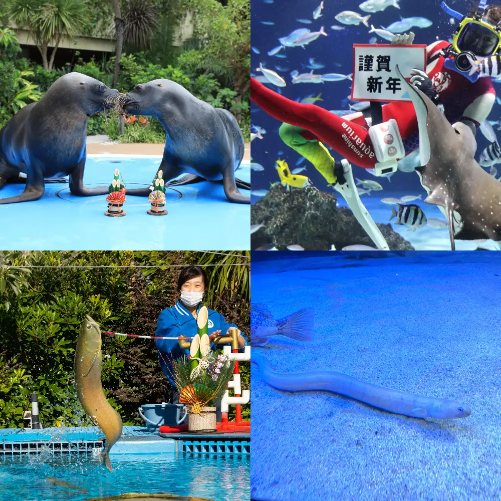 新年を楽しむ！サンシャイン水族館のお正月2025｜1月1日（水・祝）～1月7日（火）池袋で特別展示開催