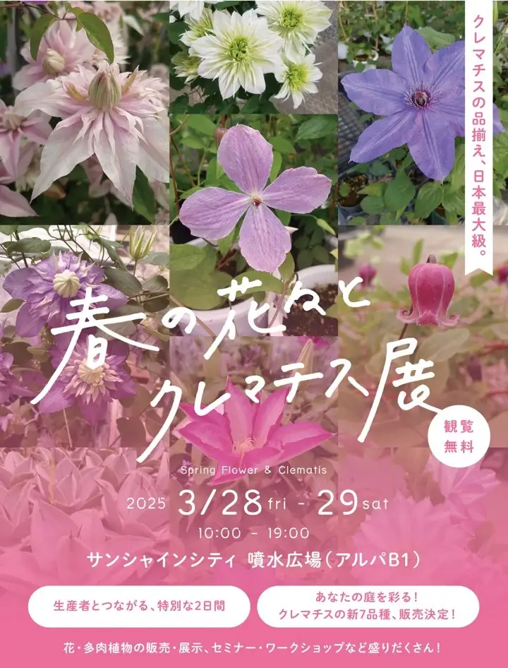 クレマチスの最新品種が勢揃い！「春の花々とクレマチス展」サンシャインシティで開催【3月28日・29日】
