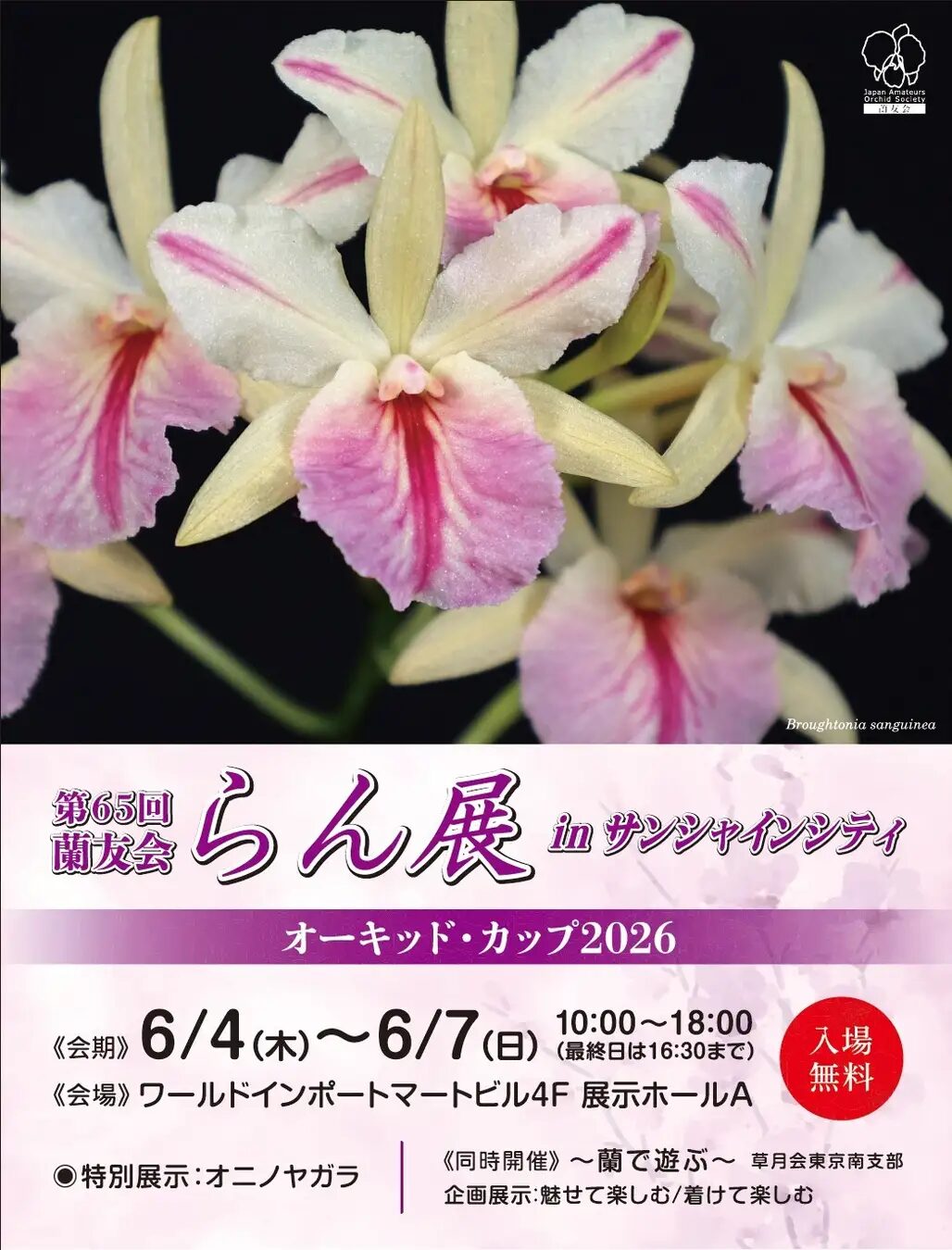 第65回蘭友会らん展 in サンシャインシティ ～オーキッド・カップ2026～｜6月4日（木）〜6月7日（日）池袋で開催！約600株の洋蘭を展示